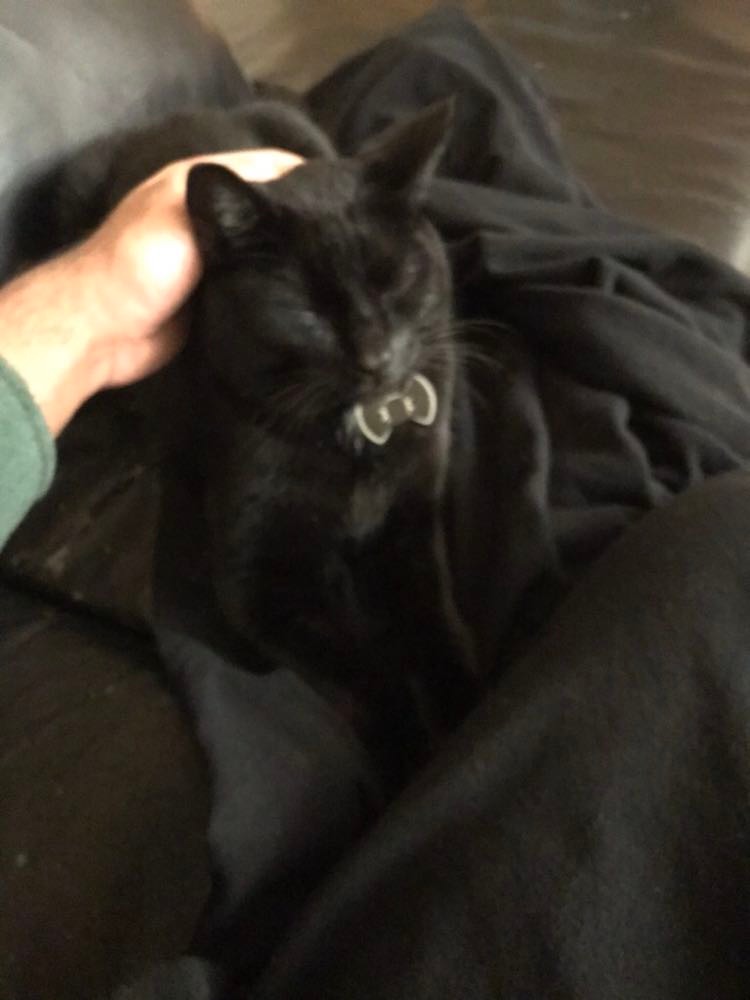 Head Scratch